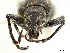  ( - CCDB-30451-E08)  @11 [ ] CreativeCommons - Attribution (2018) CBG Photography Group Smithsonian Institution
