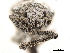  ( - CCDB-30451-F05)  @11 [ ] CreativeCommons - Attribution (2018) CBG Photography Group Smithsonian Institution