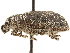  ( - CCDB-30451-F06)  @11 [ ] CreativeCommons - Attribution (2018) CBG Photography Group Smithsonian Institution