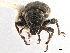  ( - CCDB-30451-F07)  @11 [ ] CreativeCommons - Attribution (2018) CBG Photography Group Smithsonian Institution