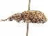  ( - CCDB-30451-F12)  @11 [ ] CreativeCommons - Attribution (2018) CBG Photography Group Smithsonian Institution
