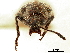 ( - CCDB-30453-A12)  @11 [ ] CreativeCommons - Attribution (2018) CBG Photography Group Smithsonian Institution