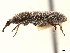  ( - CCDB-30453-A12)  @11 [ ] CreativeCommons - Attribution (2018) CBG Photography Group Smithsonian Institution