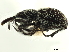  ( - CCDB-30453-E07)  @11 [ ] CreativeCommons - Attribution (2018) CBG Photography Group Smithsonian Institution