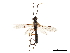  ( - CCDB-32126-C04)  @11 [ ] CreativeCommons - Attribution (2018) CBG Photography Group Smithsonian Institution