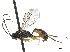  ( - CCDB-32126-C07)  @14 [ ] CreativeCommons - Attribution (2018) CBG Photography Group Smithsonian Institution