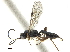  ( - CCDB-32126-E04)  @11 [ ] CreativeCommons - Attribution (2019) CBG Photography Group Smithsonian Institution