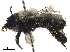  ( - CCDB-32126-G12)  @11 [ ] CreativeCommons - Attribution (2019) CBG Photography Group Smithsonian Institution