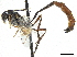  ( - CCDB-32126-H06)  @11 [ ] CreativeCommons - Attribution (2019) CBG Photography Group Smithsonian Institution