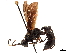  (Chasmias scelestus - CCDB-32128-C06)  @14 [ ] CreativeCommons - Attribution (2018) CBG Photography Group Smithsonian Institution
