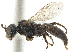  ( - CCDB-32130-G05)  @11 [ ] CreativeCommons - Attribution (2018) CBG Photography Group Smithsonian Institution