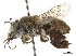  ( - CCDB-32131-A12)  @11 [ ] CreativeCommons - Attribution (2018) CBG Photography Group Smithsonian Institution