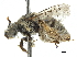  ( - CCDB-32131-C07)  @11 [ ] CreativeCommons - Attribution (2018) CBG Photography Group Smithsonian Institution