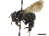  ( - CCDB-32132-B09)  @11 [ ] CreativeCommons - Attribution (2018) CBG Photography Group Smithsonian Institution