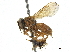  ( - CCDB-32132-B12)  @11 [ ] CreativeCommons - Attribution (2018) CBG Photography Group Smithsonian Institution