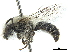  ( - CCDB-32132-C06)  @11 [ ] CreativeCommons - Attribution (2018) CBG Photography Group Smithsonian Institution