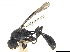  (Podagritus longinodus - CCDB-32134-G12)  @11 [ ] CreativeCommons - Attribution (2018) CBG Photography Group Smithsonian Institution