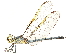  ( - CCDB-32135-G01)  @11 [ ] CreativeCommons - Attribution (2018) CBG Photography Group Smithsonian Institution