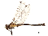  ( - CCDB-32138-H05)  @11 [ ] CreativeCommons - Attribution (2018) CBG Photography Group Smithsonian Institution