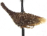  ( - CCDB-32962-D12)  @11 [ ] CreativeCommons - Attribution (2019) CBG Photography Group Smithsonian Institution