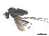  ( - CCDB-32963-D12)  @11 [ ] CreativeCommons - Attribution (2019) CBG Photography Group Smithsonian Institution