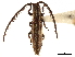  ( - CCDB-32964-G09)  @11 [ ] CreativeCommons - Attribution (2019) CBG Photography Group Smithsonian Institution
