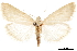  ( - CCDB-32968-G11)  @11 [ ] CreativeCommons - Attribution (2019) CBG Photography Group Smithsonian Institution