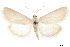  ( - CCDB-32968-G12)  @11 [ ] CreativeCommons - Attribution (2019) CBG Photography Group Smithsonian Institution