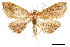  ( - CCDB-32968-H05)  @11 [ ] CreativeCommons - Attribution (2019) CBG Photography Group Smithsonian Institution