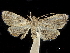  ( - CCDB-32971-A04)  @11 [ ] CreativeCommons - Attribution (2019) CBG Photography Group Smithsonian Institution
