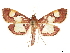  ( - CCDB-32971-C12)  @11 [ ] CreativeCommons - Attribution (2019) CBG Photography Group Smithsonian Institution