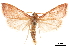  ( - CCDB-32971-G06)  @11 [ ] CreativeCommons - Attribution (2019) CBG Photography Group Smithsonian Institution