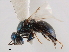  ( - CCDB-34061-C12)  @11 [ ] CreativeCommons - Attribution (2019) CBG Photography Group Smithsonian Institution