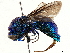  ( - CCDB-34061-E03)  @11 [ ] CreativeCommons - Attribution (2019) CBG Photography Group Smithsonian Institution
