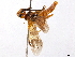  ( - CCDB-34062-A10)  @14 [ ] CreativeCommons - Attribution (2019) CBG Photography Group Smithsonian Institution
