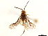 ( - CCDB-34062-B01)  @11 [ ] CreativeCommons - Attribution (2019) CBG Photography Group Smithsonian Institution