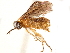  ( - CCDB-34062-B04)  @11 [ ] CreativeCommons - Attribution (2019) CBG Photography Group Smithsonian Institution