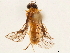  ( - CCDB-34062-B05)  @11 [ ] CreativeCommons - Attribution (2019) CBG Photography Group Smithsonian Institution