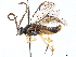  ( - CCDB-34062-B11)  @11 [ ] CreativeCommons - Attribution (2019) CBG Photography Group Smithsonian Institution