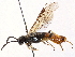  ( - CCDB-34062-D08)  @14 [ ] CreativeCommons - Attribution (2019) CBG Photography Group Smithsonian Institution