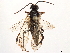  (Empronus - CCDB-34062-E02)  @11 [ ] CreativeCommons - Attribution (2019) CBG Photography Group Smithsonian Institution