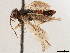 ( - CCDB-34062-F01)  @11 [ ] CreativeCommons - Attribution (2019) CBG Photography Group Smithsonian Institution