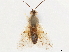  ( - CCDB-34062-F02)  @11 [ ] CreativeCommons - Attribution (2019) CBG Photography Group Smithsonian Institution
