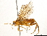  ( - CCDB-34062-G08)  @11 [ ] CreativeCommons - Attribution (2019) CBG Photography Group Smithsonian Institution