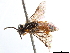  ( - CCDB-34062-H07)  @11 [ ] CreativeCommons - Attribution (2019) CBG Photography Group Smithsonian Institution