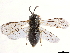  ( - CCDB-34062-H09)  @11 [ ] CreativeCommons - Attribution (2019) CBG Photography Group Smithsonian Institution