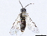  ( - CCDB-34063-C11)  @11 [ ] CreativeCommons - Attribution (2019) CBG Photography Group Smithsonian Institution