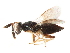  ( - CCDB-34065-E09)  @11 [ ] CreativeCommons - Attribution (2019) CBG Photography Group Smithsonian Institution