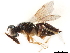  ( - CCDB-34065-E10)  @11 [ ] CreativeCommons - Attribution (2019) CBG Photography Group Smithsonian Institution