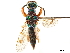  ( - CCDB-34068-B06)  @11 [ ] CreativeCommons - Attribution (2019) CBG Photography Group Smithsonian Institution